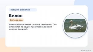 Изучаем происхождение и значение фамилии Белон: история и склонение