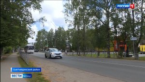В Сыктывдинском районе суд вынес приговор Марии Усатовой по делу о гибели собак в Выльгорте