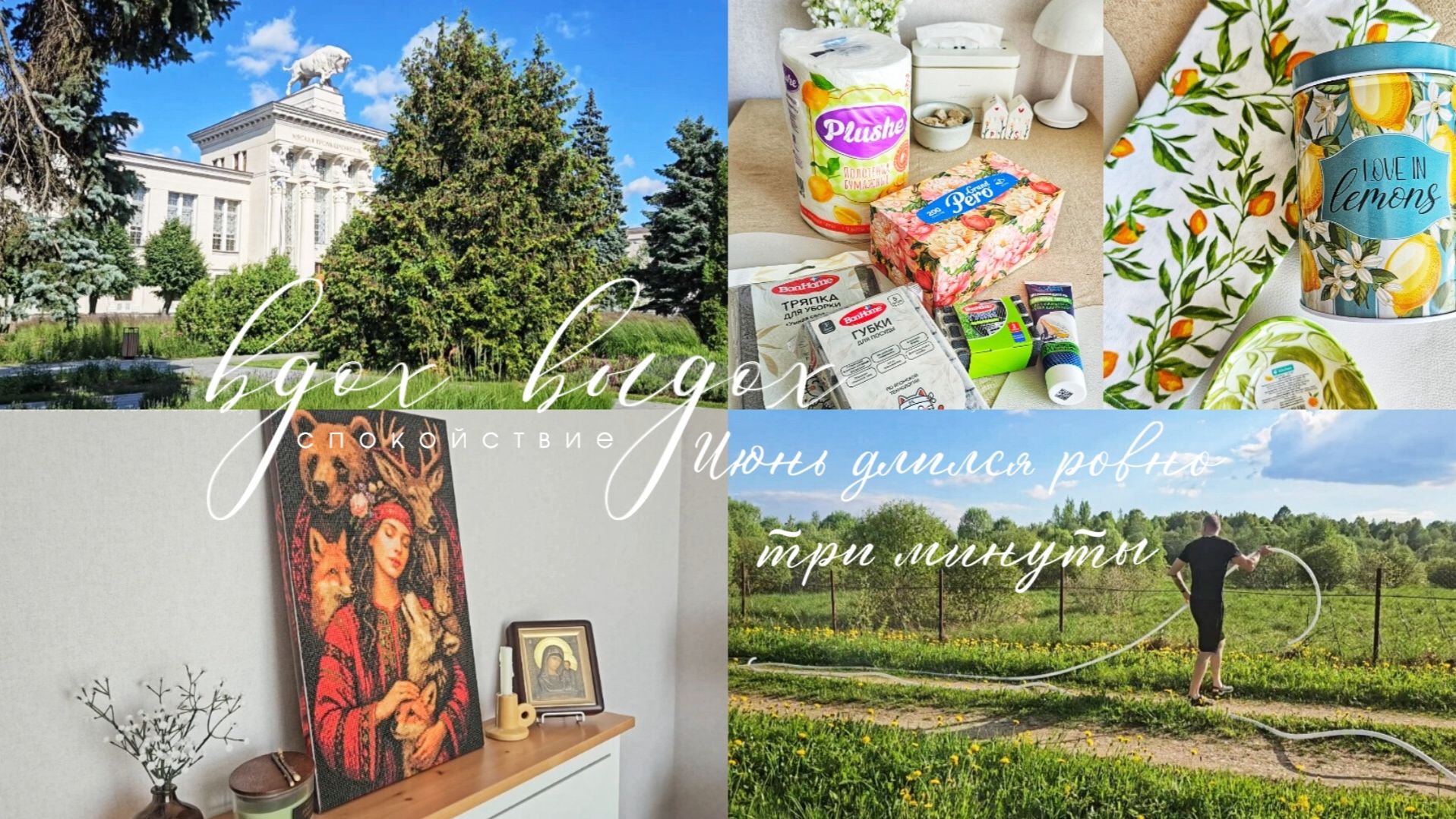 Fix Price большая распаковка 🛍️ | Мои покупки | Волшебная картина 💫 | Дача 🏡 | Наши выходные 💚 смотреть онлайн