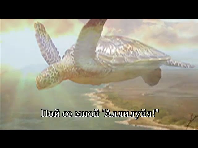 КАРАОКЕ Пой со мной смотреть онлайн