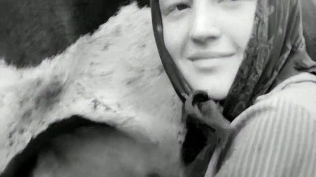 1967 год. Тюменский район. Дойка на выпасах