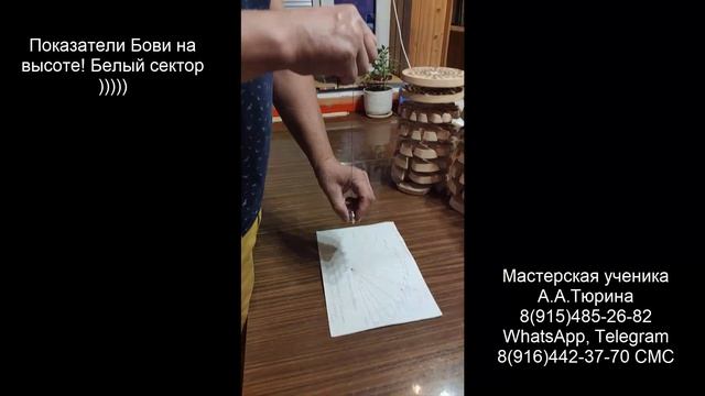 Преобразователи А.Тюрина. Показатели Бови на высоте. Белый сектор ))) смотреть онлайн