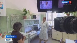 Новосибирские учёные предложили спасать посевы от засухи с помощью мелиоранта из овечьей шерсти