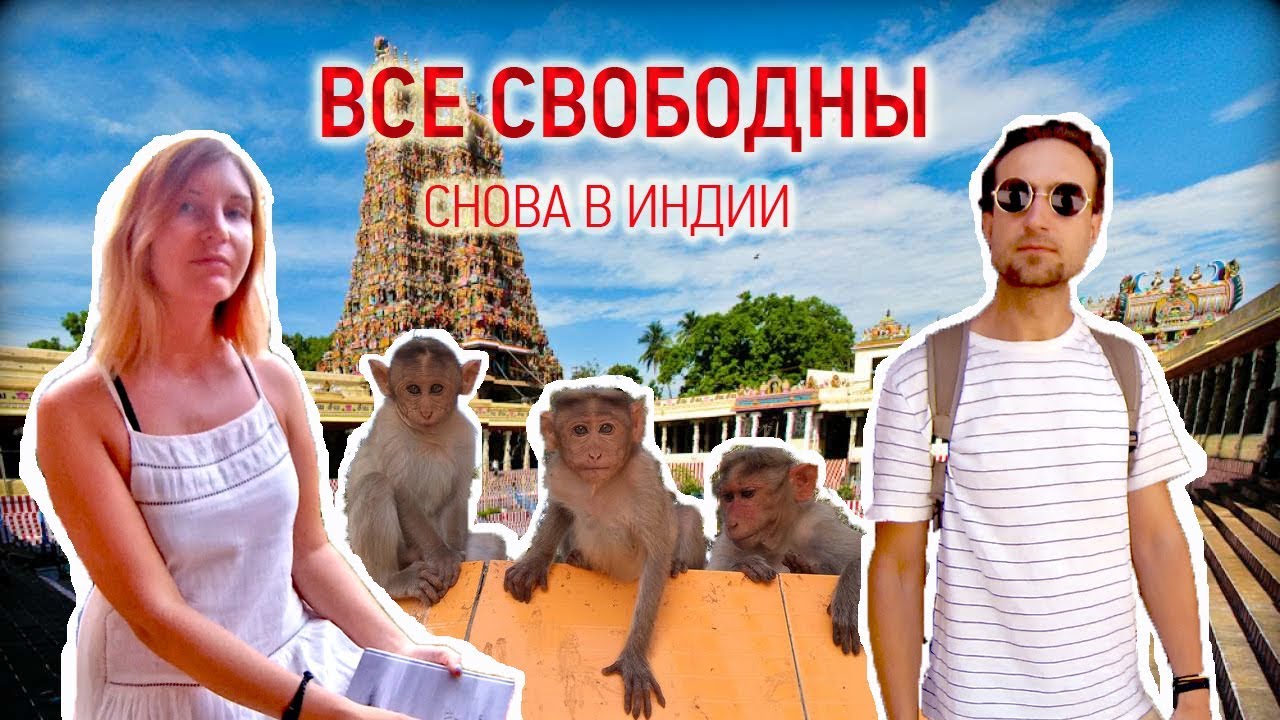 Все свободны снова в Индии смотреть онлайн