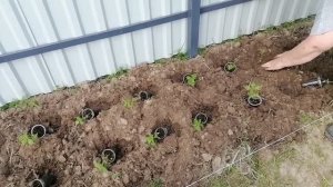 Влог: Первая высадка рассады. 🌱 Болталка о дальнейших планах на бассейн и парковку.