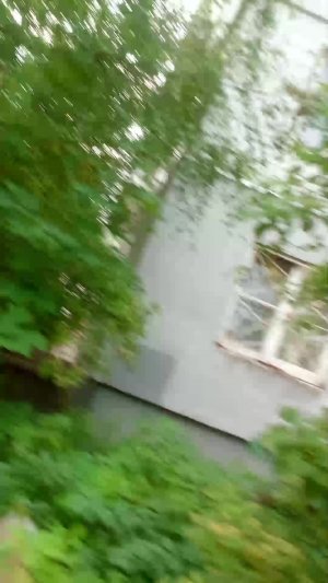 наш поход на рыбалку