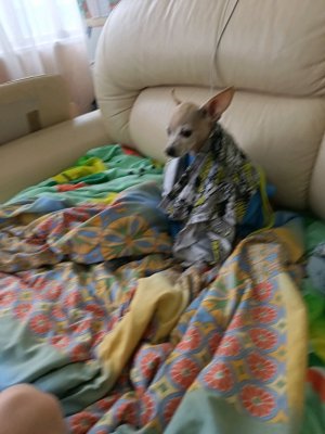 Выполняем задание от подписчиков