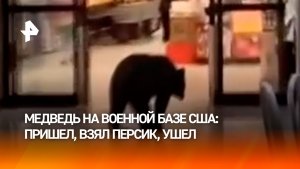 Медведь пробрался в ТЦ на военной базе США на Аляске, украл персик и ушел