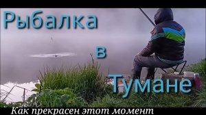 Рыбалка по Зорьке!!!Туманное Утро Дарит Много Поклевок!!!