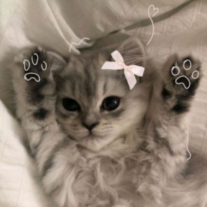 дарина