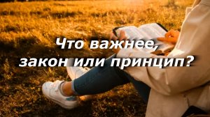 Что важнее, закон или принцип?
