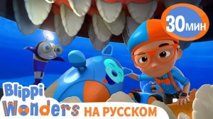 Зубы у Акулы _ Изучай этот мир вместе с Блиппи _ Обучающие мультики для детей -