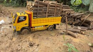 Rc машинки 🚚 Вывозим бревна из леса по ЭКСТРЕМАЛЬНОЙ дороге
