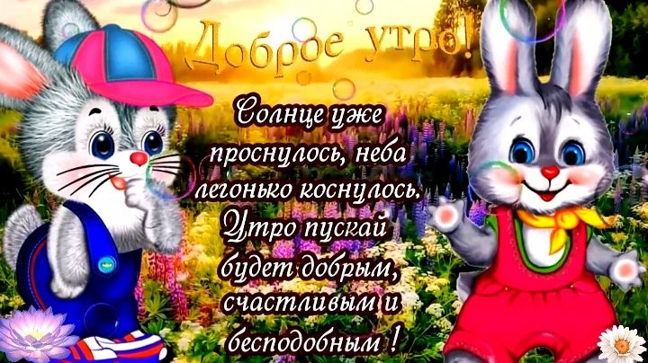 Красивые видео