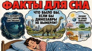 Факты для сна: от дна океана до появления Луны и ледникового периода