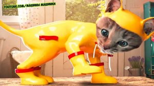 ПРИКЛЮЧЕНИЕ МАЛЕНЬКОГО КОТЕНКА - мультик для детей и малышей МИМИМИШКА мультфильм про ко