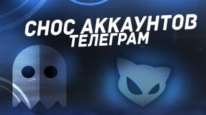 КАК СНЕСТИ ТЕЛЕГРАМ АККАУНТ? СНОСЕР ТГ? СНОСЕР ДС? ЛУЧШИЙ СНОСЕР ТЕЛЕГРАМ И ДИСКОРД