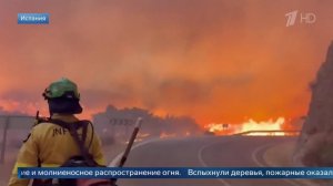 Появились кадры мощного лесного пожара на юго-востоке Испании.