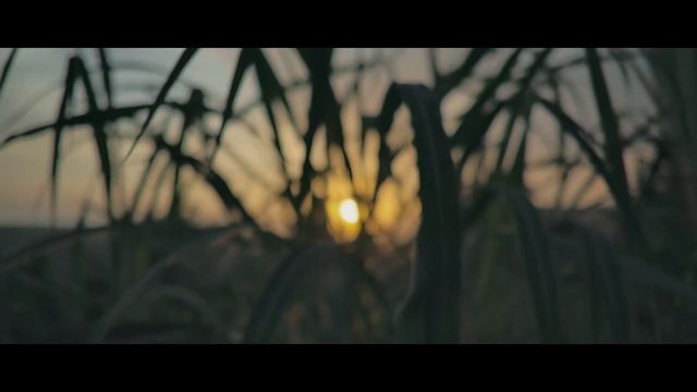 Gareth Emery ft. Roddy Woomble - This Is Not The End смотреть онлайн