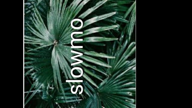 Slowmo музыка.Музыка для блоггеров смотреть онлайн