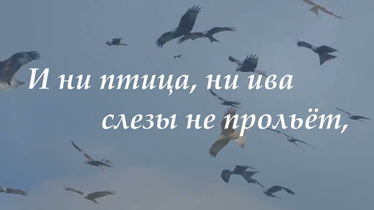 Будет ласковый дождь Сара Тисдэйл смотреть онлайн