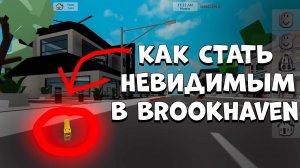 ГАЙД как стать НЕВИДИМЫМ в Brookhaven