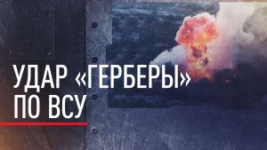 Дроны-камикадзе «Гербера Сикер» уничтожили опорный пункт ВСУ под Добропольем