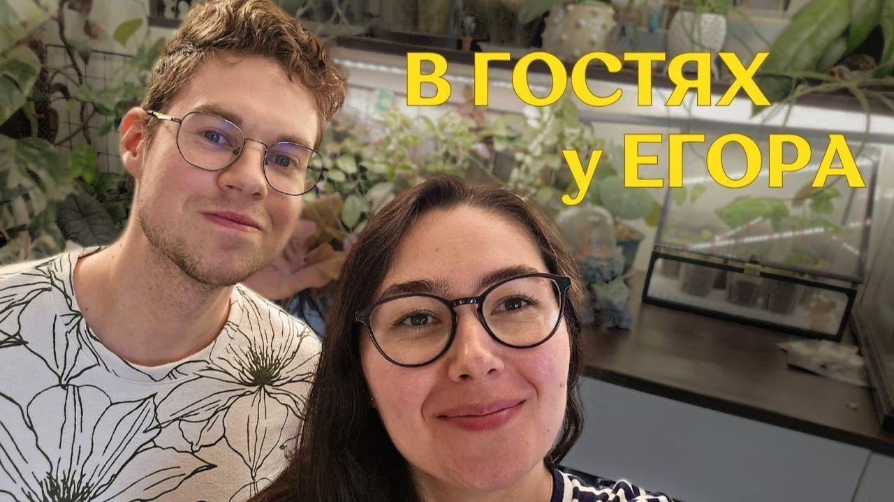 У ЕГОРА @egorraccoon в гостях | 500 лиственных РАСТЕНИЙ и СУККУЛЕНТОВ и приятная БЕСЕДА смотреть онлайн
