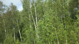 На поезде Нижневартовск - Тюмень, июль