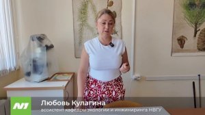 Мошки исчезли. Нижневартовск