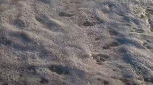 Сочи.10.07. 26