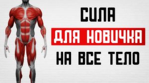 10 упражнений для новичка! На силу! Массу! Выносливость!