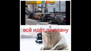 Очереди на заправках песня.