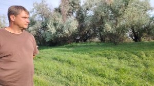 Река Рыча. Посёлок Пойменный. Астраханская область