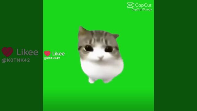 ⚠ осторожно ⚠ очень мило смотреть онлайн