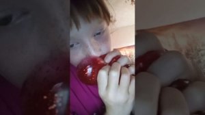 мои сквиши