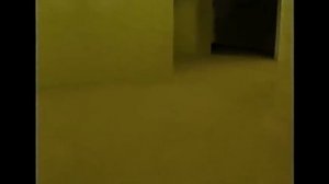 ПРОСТОЕ ВИДЕО 444748 ОАЛАЛ