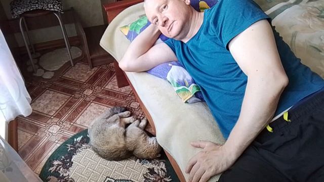 Кот спит. И я сплю. смотреть онлайн