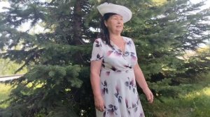 В ромашковом поле