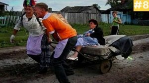 Я ржал до слез 😂 20 Минут смеха 2026 Смешные видео Приколы с животными! Подборка