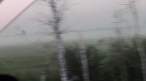 Туманное утро