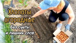 Хлопоты огородные без суеты и лишних слов.
