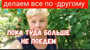 301🏡Мы делаем все по-другому/Провели капельный полив/Ужалила медуза/Пока туда больше не поедем