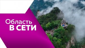 Область в сети № 354