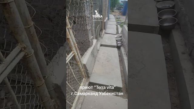 ##terra_vita_sam