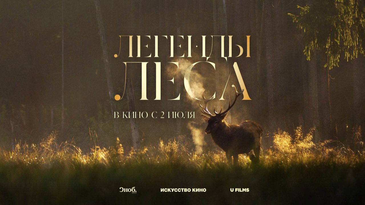 Легенды леса (2025) трейлер смотреть онлайн