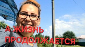 1349 Жизнь в Станице продолжается. Не ожидали такого урожая.Заготовки не отпускают.