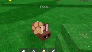 🤩