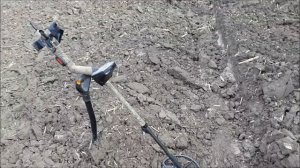 Коп на хуторах и мини-обзор Minelab Safari