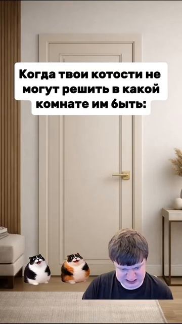 Котость